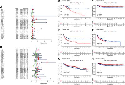 Pan-cancer analyses confirmed the cuproptosis-related gene FDX1 as an immunotherapy predictor and prognostic biomarker